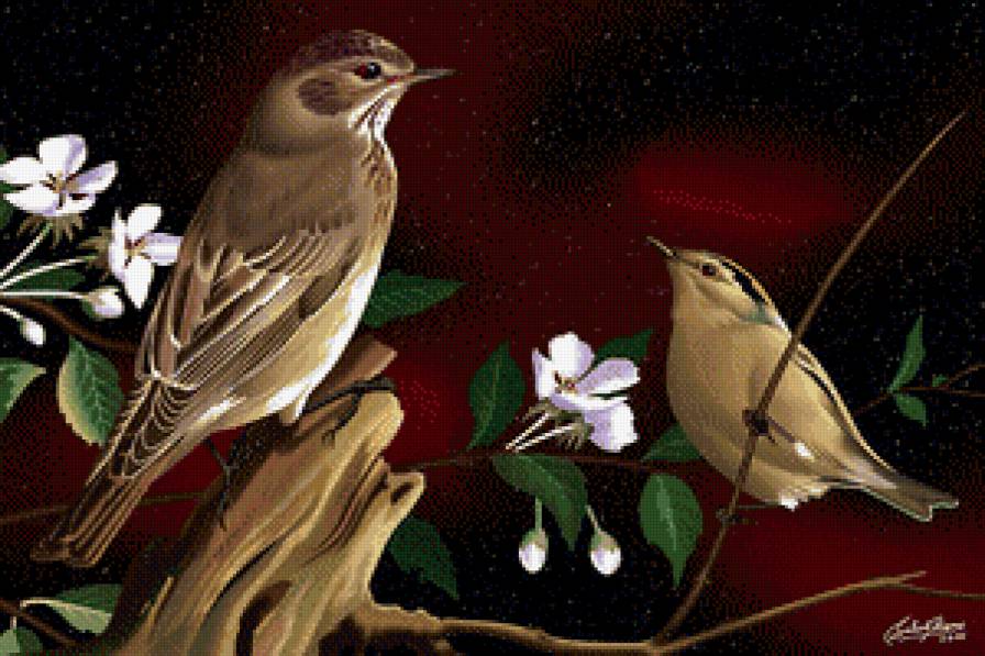 птицы - животные, цветы, птицы - предпросмотр