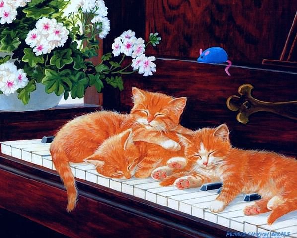котята-пианисты - животные, коты - оригинал