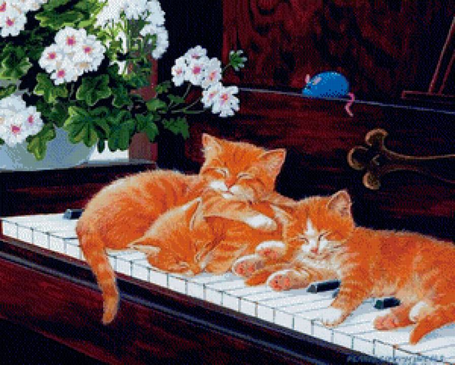 котята-пианисты - животные, коты - предпросмотр