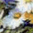 Предпросмотр схемы вышивки «полевые цветы» (№447064)