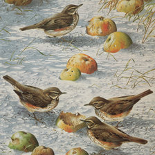 Схема вышивки «яблоки на снегу»