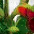 Предпросмотр схемы вышивки «Экзотический натюрморт» (№447374)