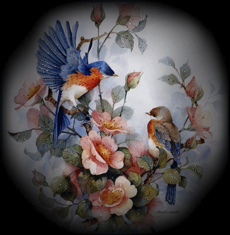 №447397 - птицы - оригинал