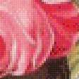 Предпросмотр схемы вышивки «Букет роз» (№447497)
