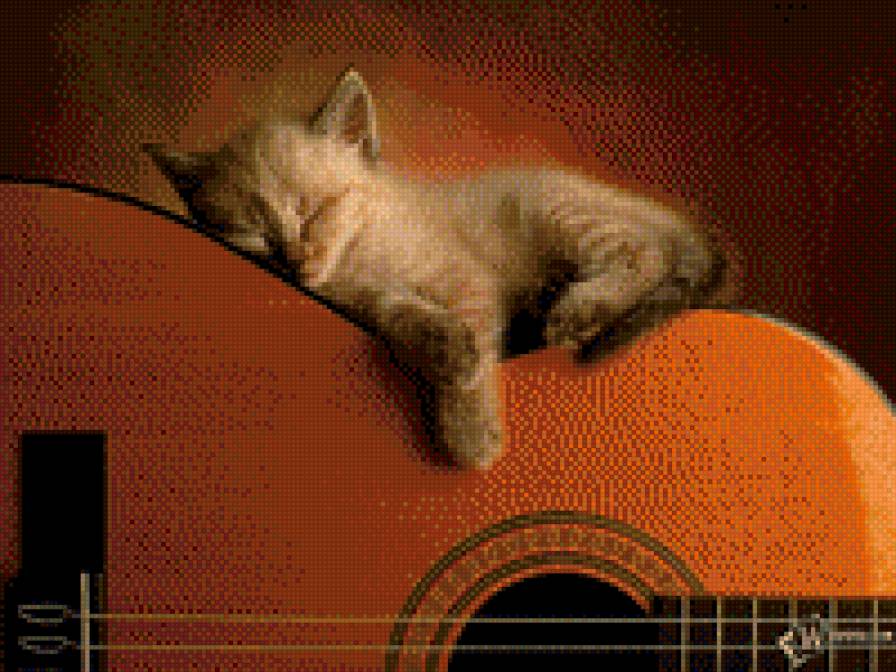 Перезанимался! - кот, гитара, приколы - предпросмотр