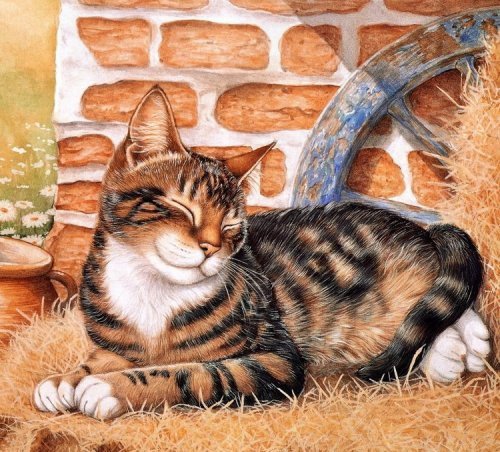 кот - оригинал