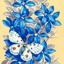 Оригинал схемы вышивки «цветы и бабочки» (№447654)