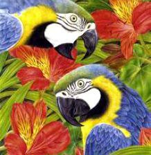 Схема вышивки «№447817»