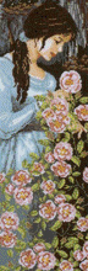 она и розы - она и розы - предпросмотр