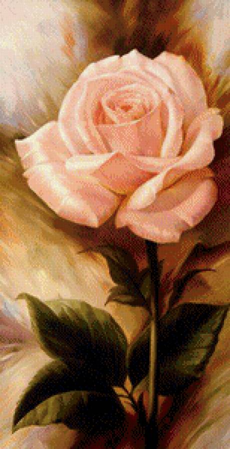 Нежная роза - цветы - предпросмотр