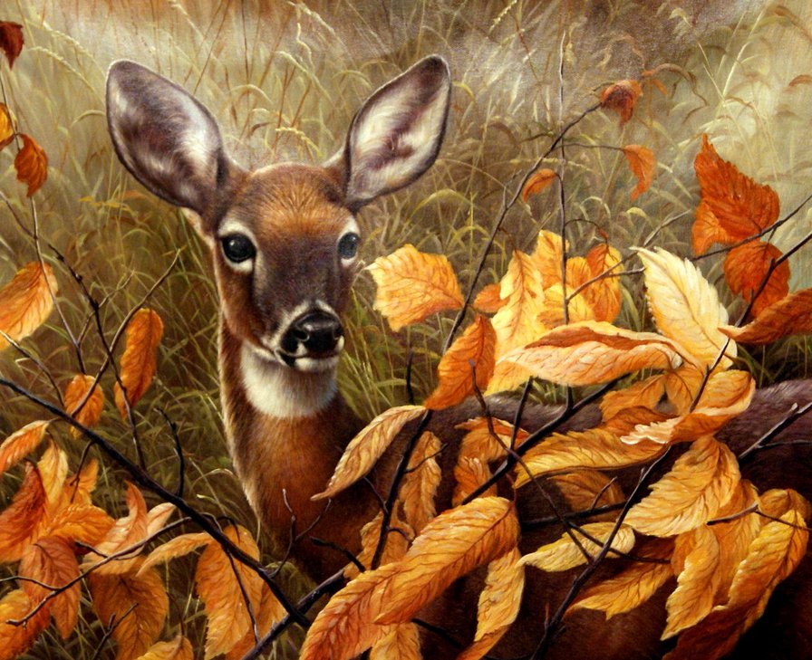 В лесу - природа, осень, животные, пейзажи - оригинал