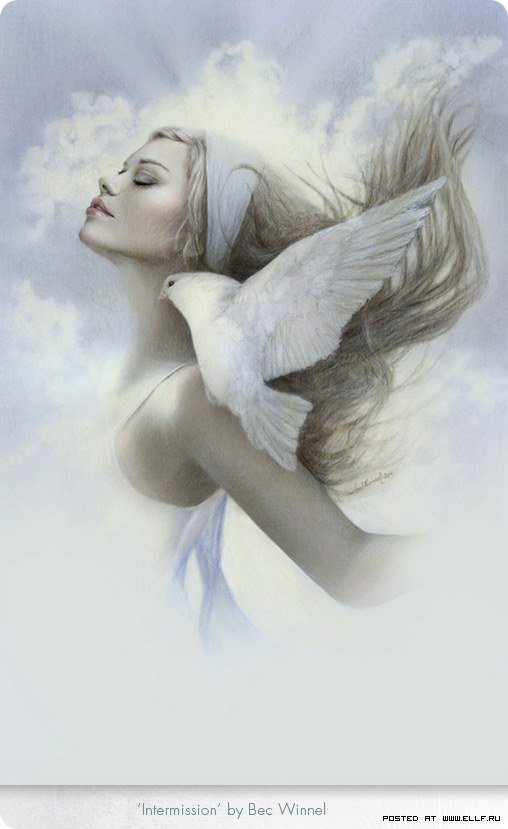 Серия "Она" - девушка, голуби, птицы - оригинал