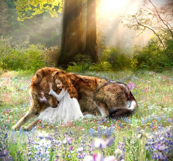 дружба - девочка, дети, волки - оригинал