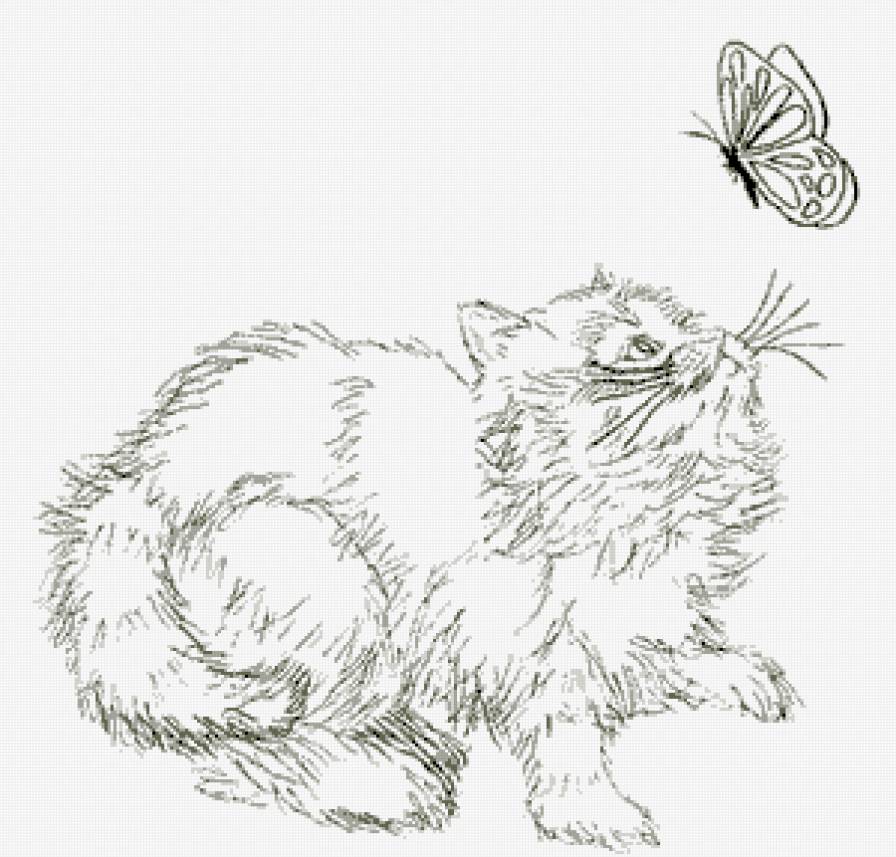 котик и бабочка - бабочка, котик, черно-белое - предпросмотр