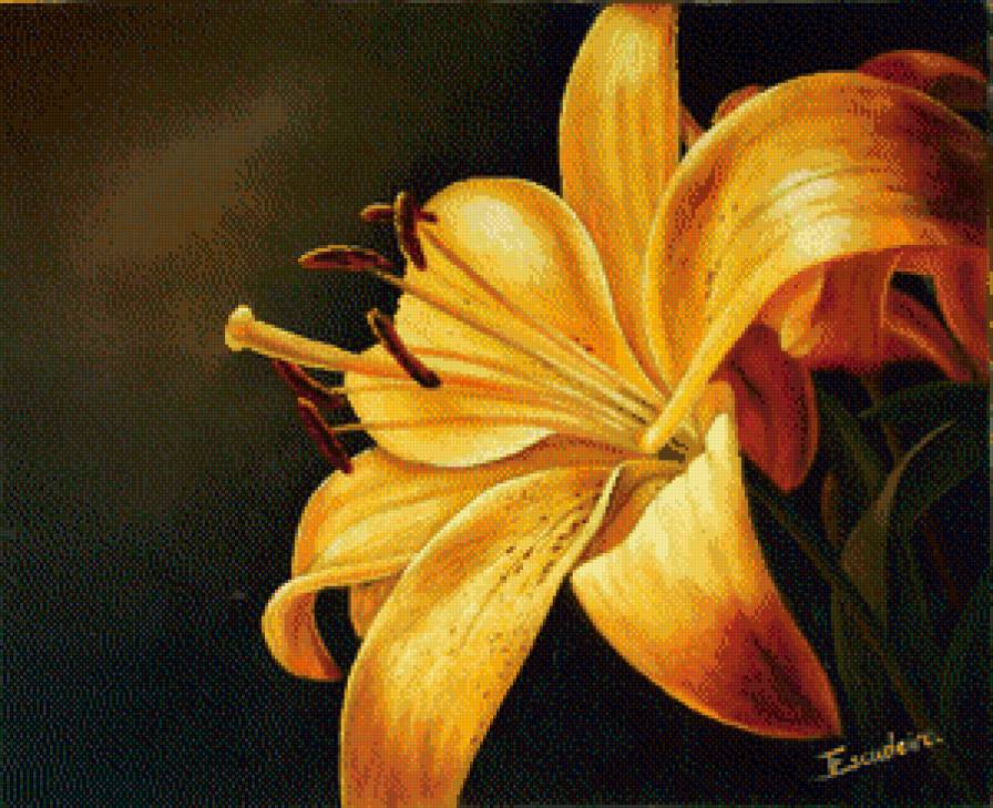 желтая лилия - цветы, лилии - предпросмотр