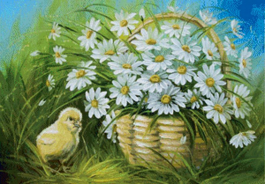жёлтое чудо - ромашки, цыпленок, букет, птицы, полевые цветы, корзина, белые цветы - предпросмотр