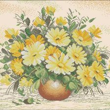 желтые герберы