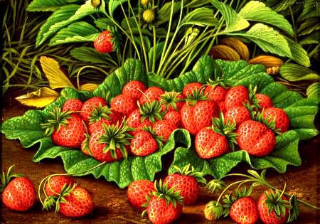 №448376 - оригинал