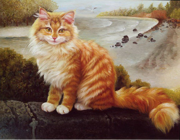 Рыжик - кот, природа - оригинал