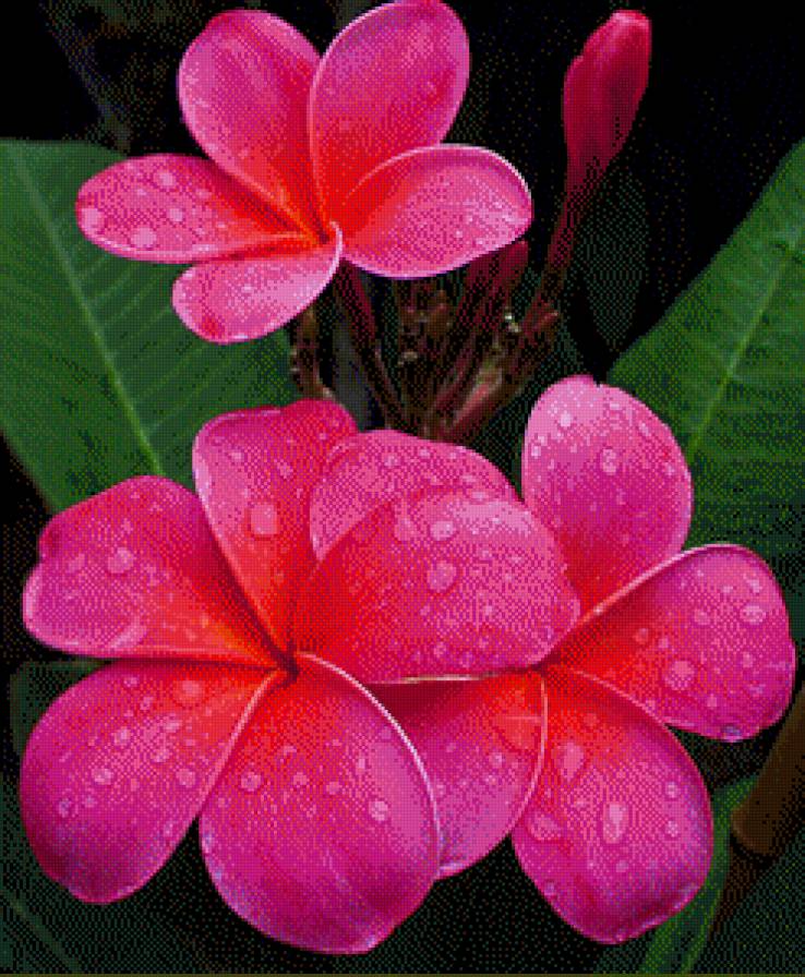 111 - предпросмотр