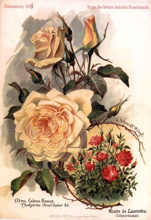 №448516 - оригинал