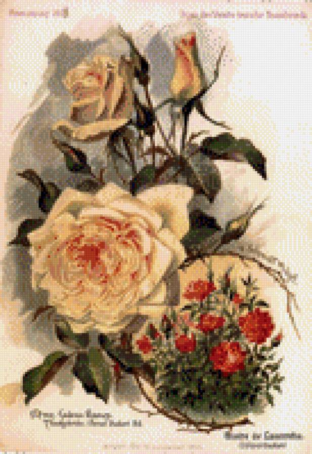 №448516 - предпросмотр