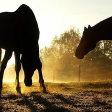 Схема вышивки «№448532»
