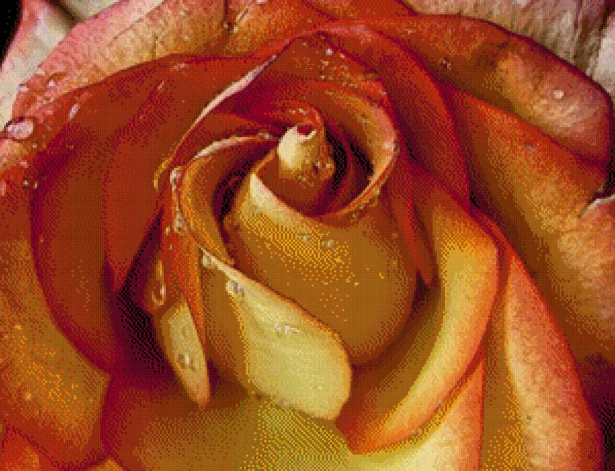 №448537 - предпросмотр