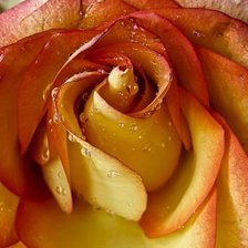 Схема вышивки «№448537»