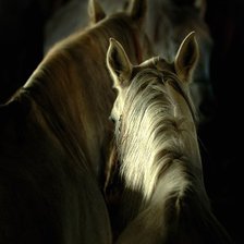 Схема вышивки «№448538»