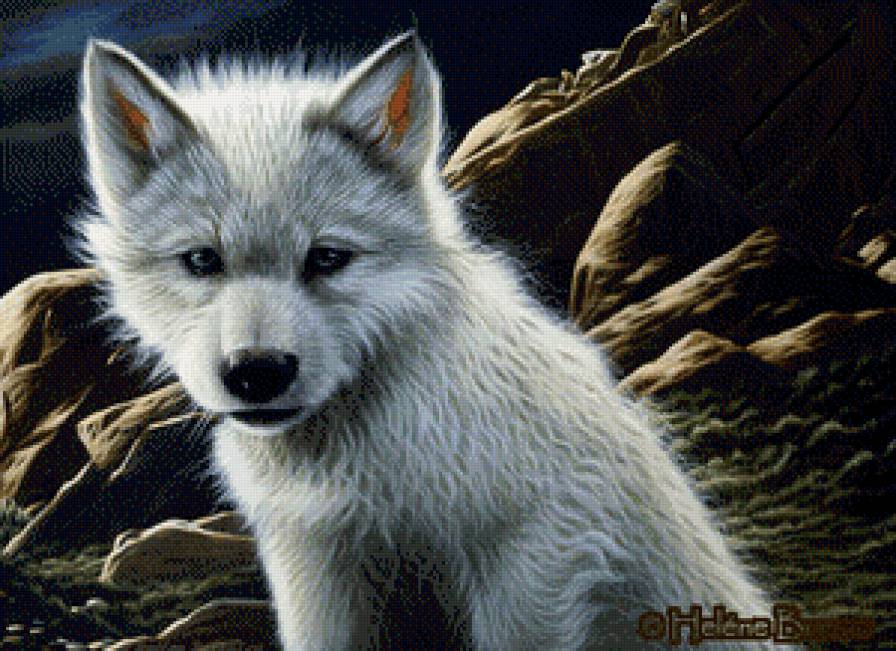 Избранный - волк, волчонок - предпросмотр