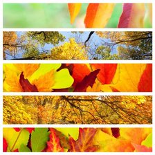 Осень - пора ярких красок..