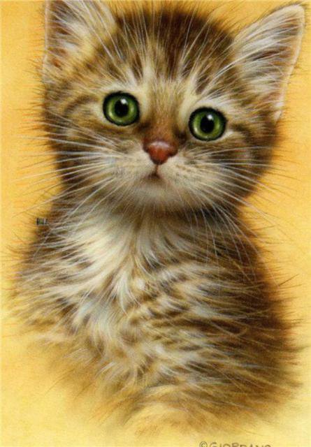 Чудо - котенок - оригинал