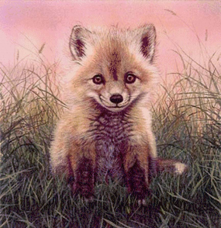 Лисенок - лис, дикая природа - предпросмотр