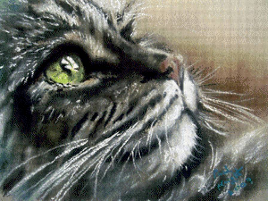 Взгляд - кот, кошка - предпросмотр