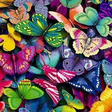 Оригинал схемы вышивки «Яркие бабочки =)» (№448767)