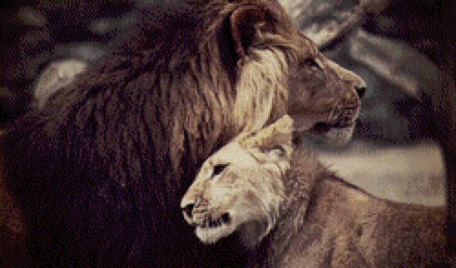 №449111 - львы, любовь, кошки - предпросмотр