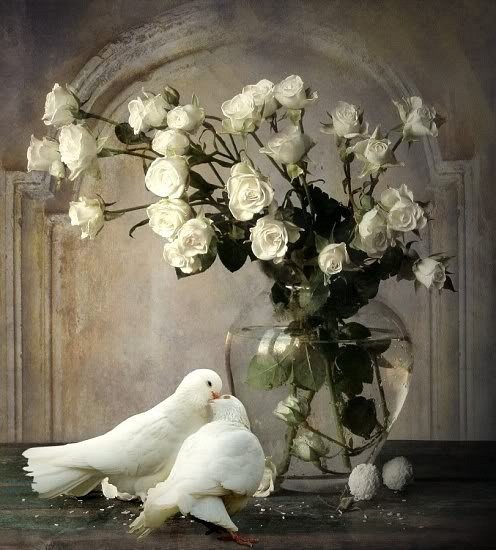 Розы и голуби - птицы, натюрморт, цветы - оригинал