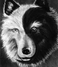 Схема вышивки «черно-белый волк»