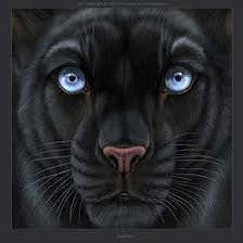 черная пантера (подушка)