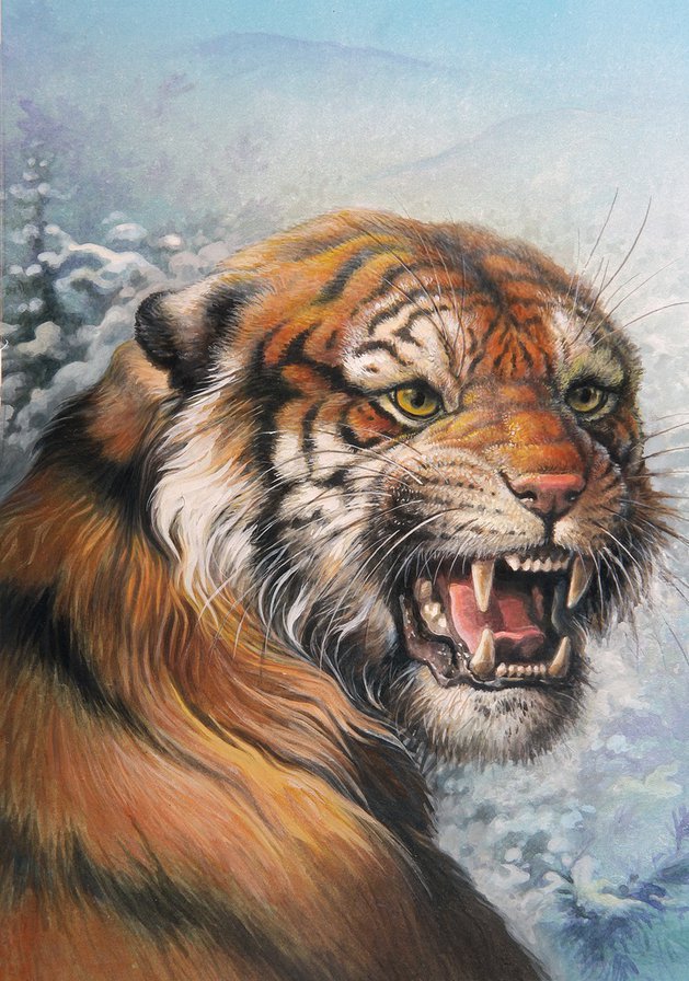 Тигр - тигр - оригинал