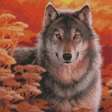 Схема вышивки «волк на закате»