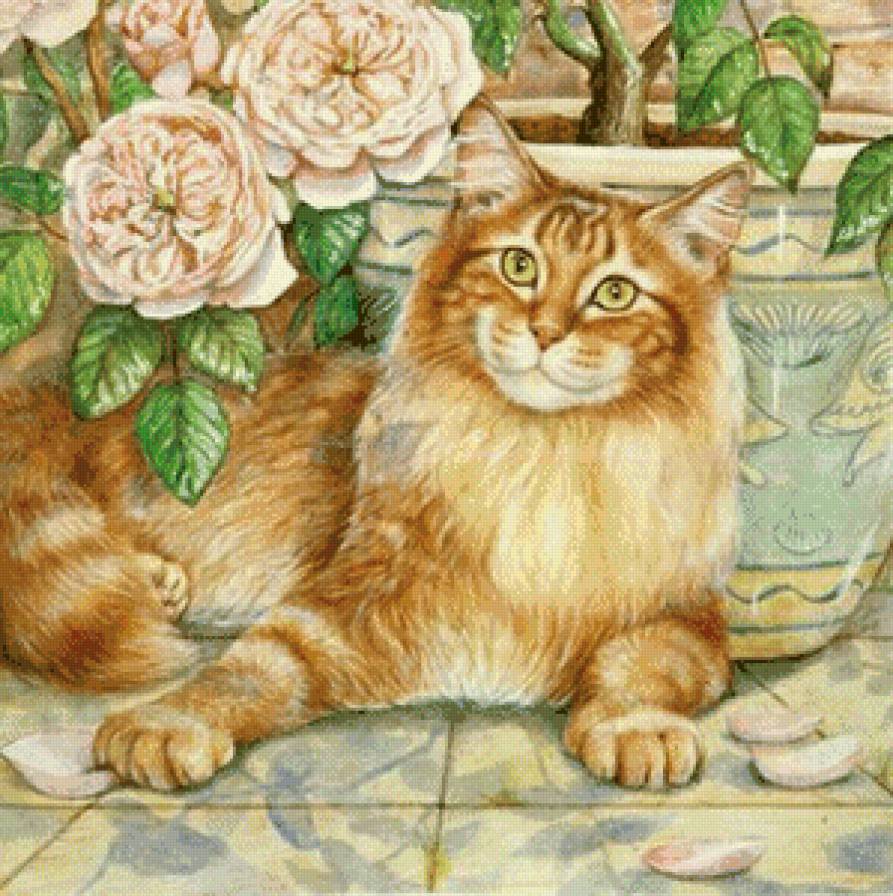 домашние любимцы - цветы, кошка - предпросмотр