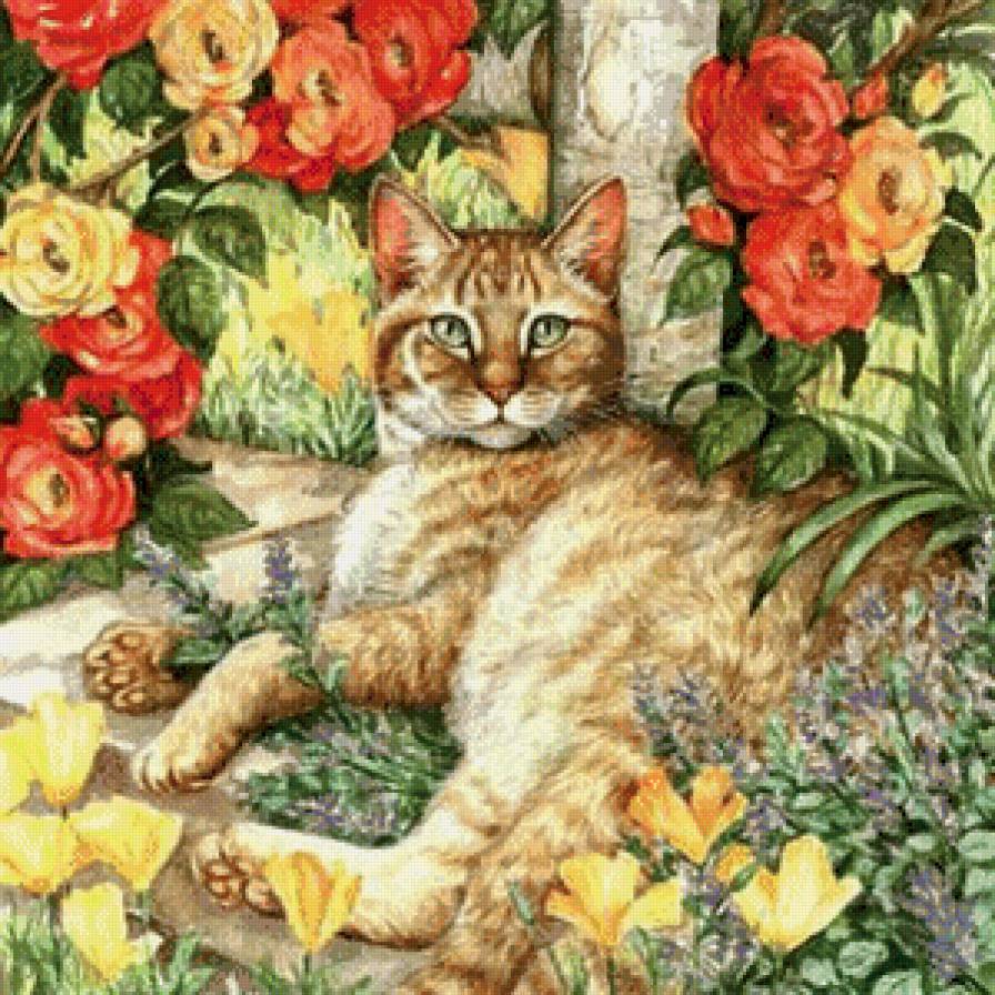 домашние любимцы - кошка, цветы - предпросмотр