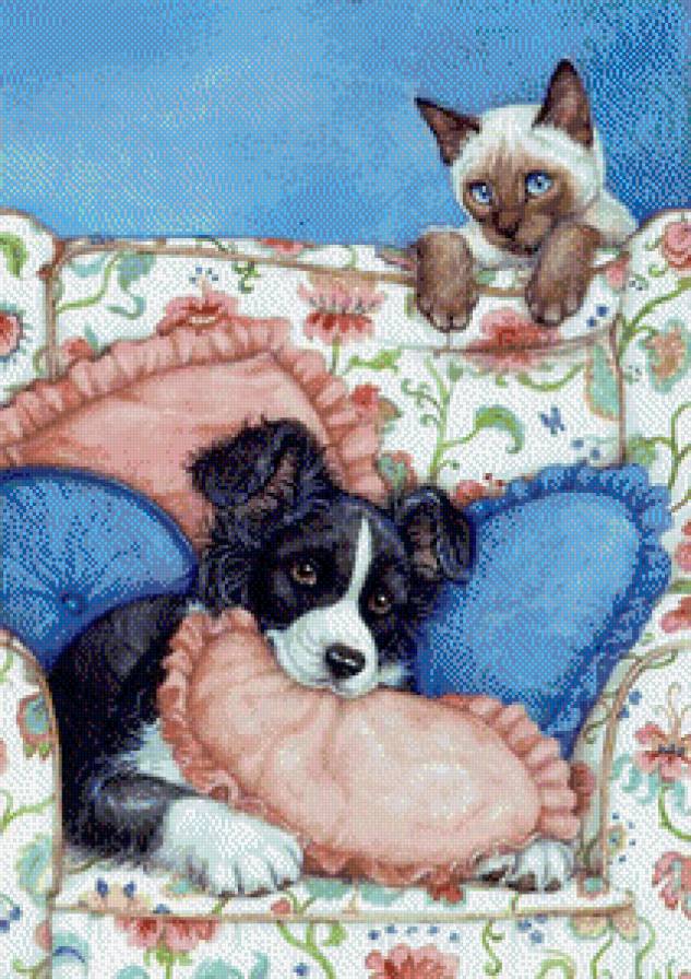 домашние любимцы - котенок, щенок - предпросмотр