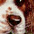 Предпросмотр схемы вышивки «домашние любимцы» (№449458)