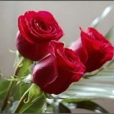 Схема вышивки «№449637»