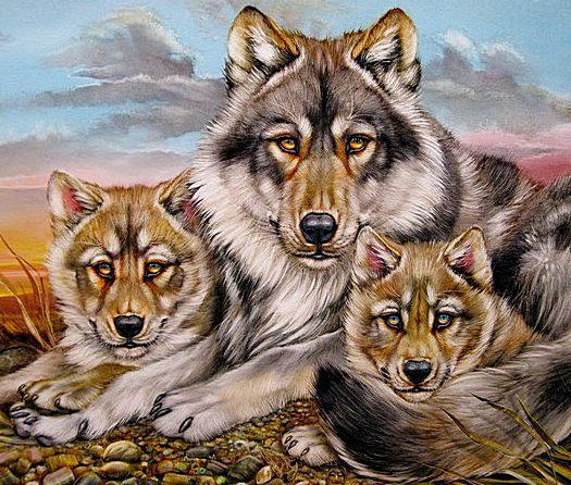 Семья - волчонок, дикая природа, волк - оригинал