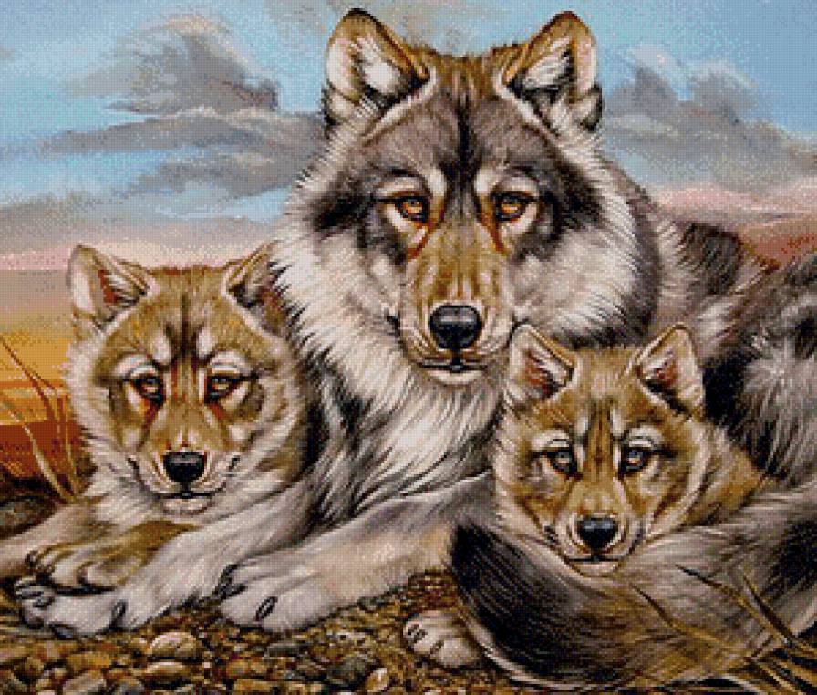 Семья - волчонок, дикая природа, волк - предпросмотр