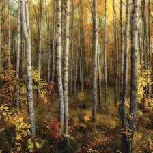 Схема вышивки «№449669»